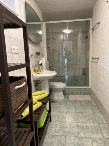 a bathroom with a sink and a toilet and a shower at Haus Karin in Lovran