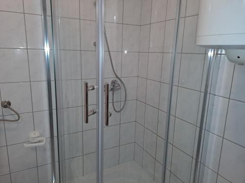 un bagno con doccia con porta in vetro di Apartment Zarok 2 a Baška