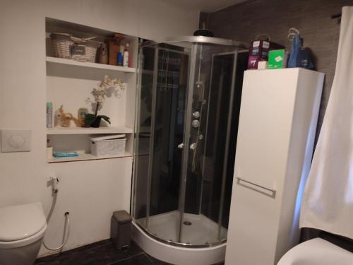 une douche dans une salle de bain avec toilettes dans l'établissement Villa la penne, à La Penne-sur-Huveaune