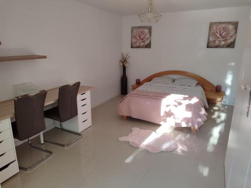 une chambre avec un lit et un bureau dans l'établissement Villa la penne, à La Penne-sur-Huveaune