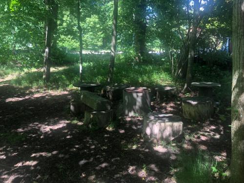 a group of logs in a forest with trees at Vingårdens Bed & Breakfast in Helsingborg