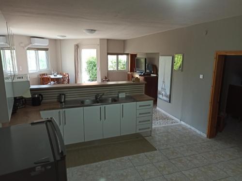 a kitchen with a sink and a counter top at Villa kakoliri in Taxiárkhai