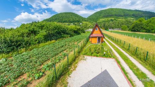 a small building in the middle of a vineyard at Pyramid Energy House in Visoko