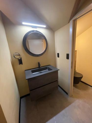 a bathroom with a sink and a mirror and a toilet at De Horizon in Bullange