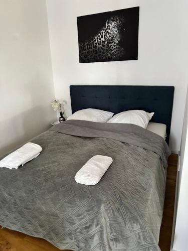 Katil atau katil-katil dalam bilik di Cologne City Apartment kostenlose Parkplatz free parking