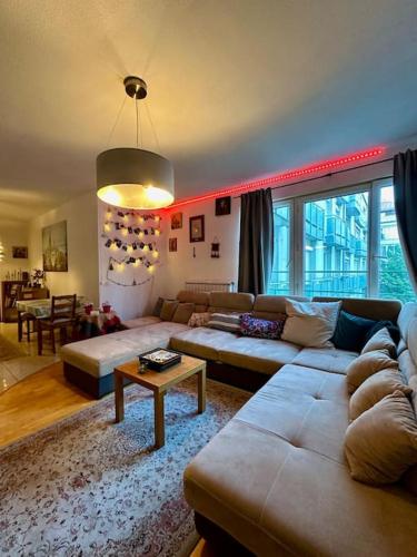 Your Friendly Host in Budapest