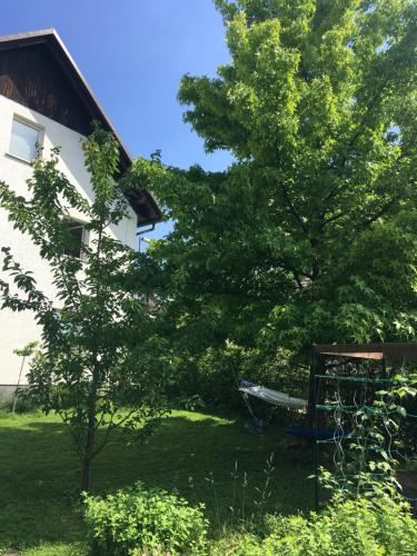 Zahrada ubytování Starling Loka