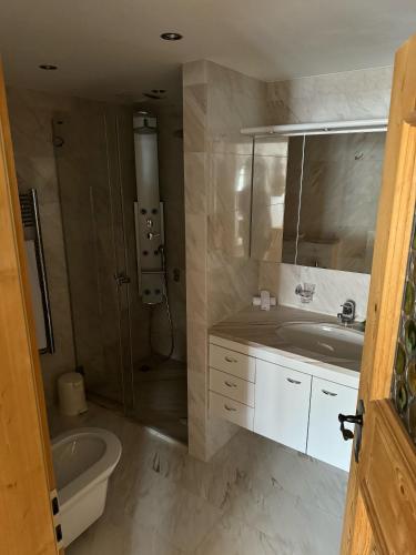 a bathroom with a shower and a sink and a tub at Alpina Apartments in Klosters