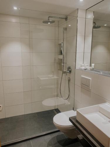a bathroom with a shower and a toilet and a sink at Alpina Apartments in Klosters