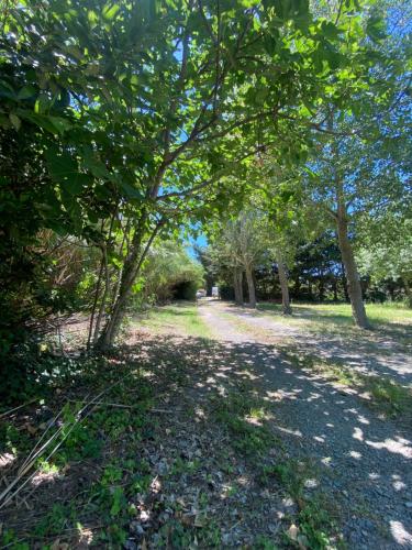 un parc avec des arbres et un chemin de terre dans l'établissement Aire d accueil pour camping cars dans un domaine agricole, à Fabrègues