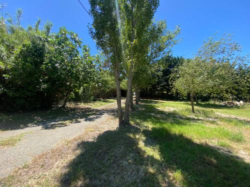 un arbre au milieu d'un chemin de terre dans l'établissement Aire d accueil pour camping cars dans un domaine agricole, à Fabrègues