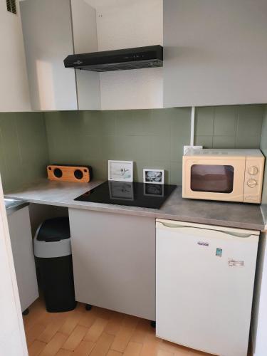 une petite cuisine avec un four micro-ondes sur un comptoir dans l'établissement GRUISSAN, Studio Cabine, Au Calme VUE DÉGAGÉE SUR MARINA, à Gruissan