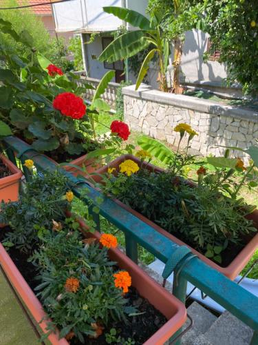 a garden with flowers and plants on a bench at INO Apartments in Tivat