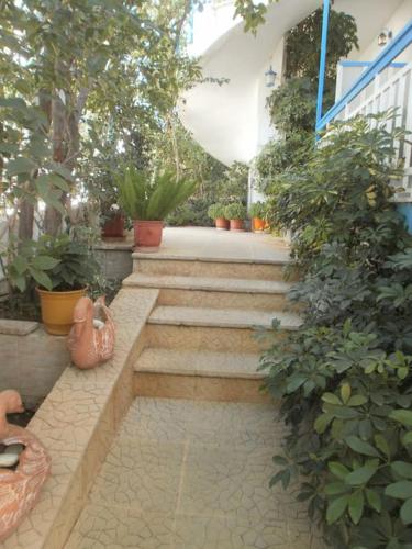 a set of stairs in a garden with potted plants at Seaview Studio Helen No 6 in Xiropigado