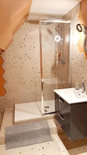 une salle de bain avec douche et lavabo dans l'établissement Belle Vue D'Auxerre, à Auxerre