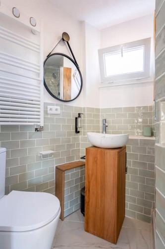 une salle de bain avec un lavabo, des toilettes et un miroir dans l'établissement Appartement 3 chambres en hyper centre de Grenoble, à Grenoble