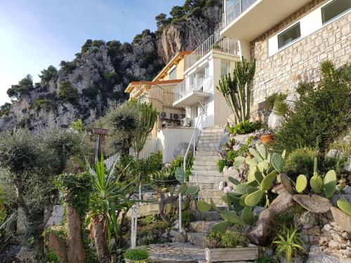 une maison à flanc de montagne avec des cactus dans l'établissement 73 CORNE D OR - Duplex plein SUD, VUE MER, BALCON, à Villefranche-sur-Mer