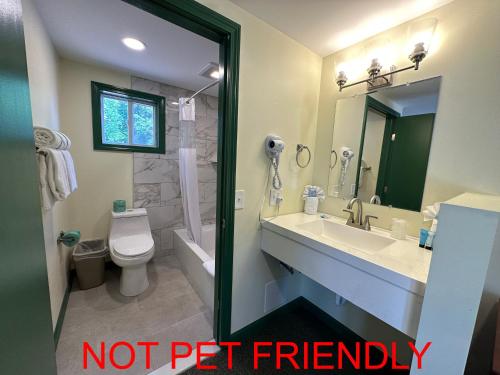 a bathroom with a sink and a toilet and a shower at O'Sullivan's Motel in Lake George