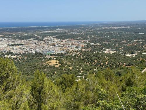 a view of a city from the top of a hill at Casa Daniel in Selva di Fasano