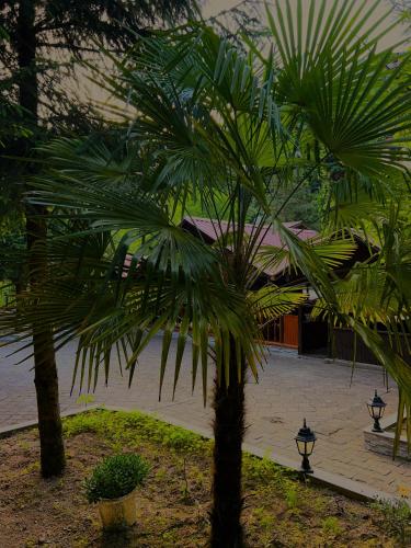 Gambar di galeri bagi Isikli Kale Hotel di Çaykara