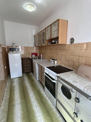 Kuchyň nebo kuchyňský kout v ubytování Apartments TODOR