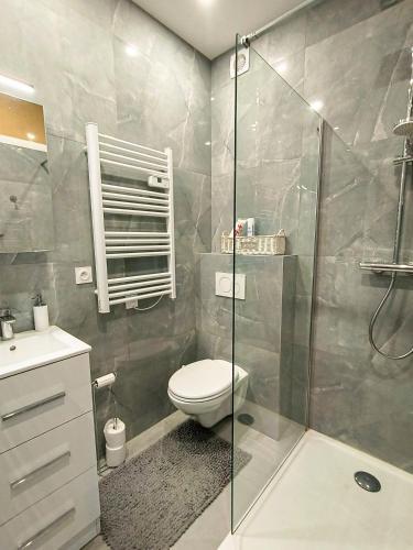 une salle de bain avec toilettes et douche en verre dans l'établissement Nice apartment in Nice, à Nice
