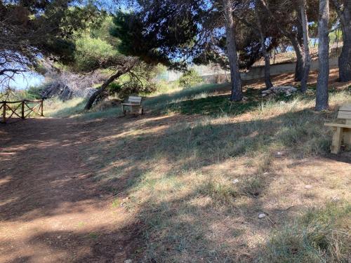 a park bench sitting in the shade of trees at Hesperia case vacanze in Vieste