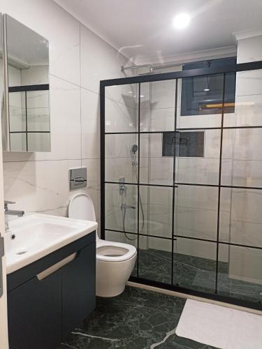 a bathroom with a shower and a toilet and a sink at Villa Vineyard in Fethiye