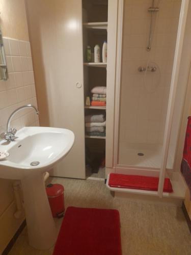 une salle de bain avec un lavabo blanc et une douche dans l'établissement appartement du pont de la seine, à Troyes
