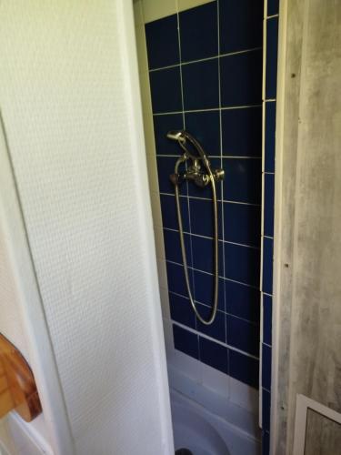 La salle de bains est pourvue d'une douche, de toilettes et de carrelage bleu. dans l'établissement Chalet les Genets, à Saint-Antoine