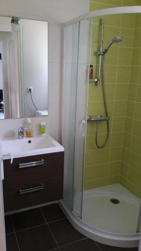 une salle de bain avec douche et lavabo dans l'établissement Maison proche plage et côte sauvage, à Saint-Pierre-Quiberon