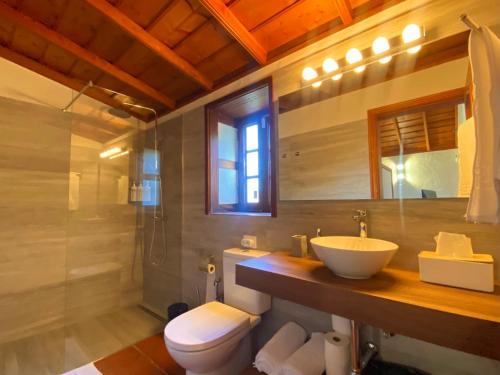 een badkamer met een wastafel, een toilet en een douche bij Casa El Morro in Los Llanos de Aridane
