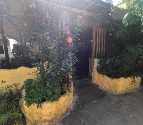 two large stone planters with plants in them at Havelock Farms Resort in Havelock Island