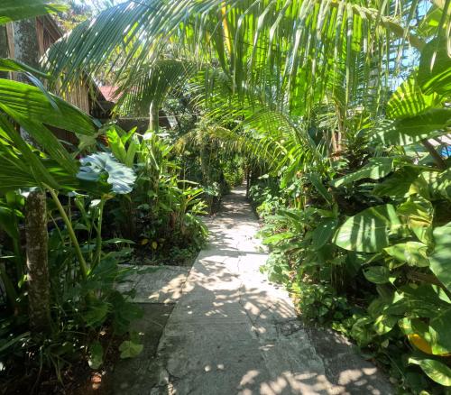 a path through a plantation of palm trees at Havelock Farms Resort in Havelock Island