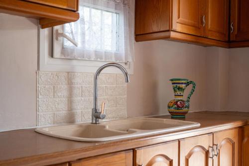 a kitchen with a sink and a vase on the counter at Villa Kali-mera in Sykia Chalkidikis