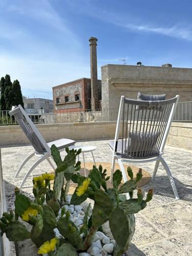 two chairs and a cactus on a patio at Design, comfort e atmosfera nel cuore del Salento in Martano