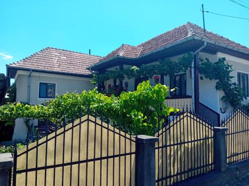 Gambar di galeri bagi Casa Cristian di Călimăneşti