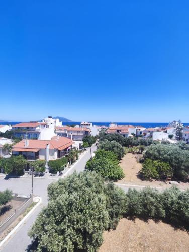an aerial view of a town with trees and a street at HOTEL IREON beach in Samos
