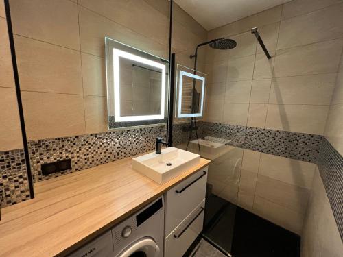 une salle de bain avec un lavabo et une machine à laver dans l'établissement Le Nid Havrais, au Havre