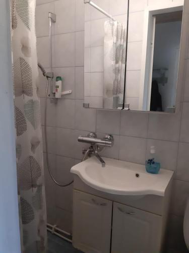 a bathroom with a sink and a mirror at RISTIMÄENKATU 13 in Savonlinna