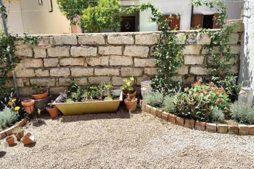 Zahrada ubytování Casa Indipendente nel Cuore della Costa Smeralda Comfort per Famiglie e Gruppi