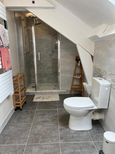 La salle de bains est pourvue de toilettes et d'une douche à l'italienne. dans l'établissement La Maison de Tina, à Lanzac