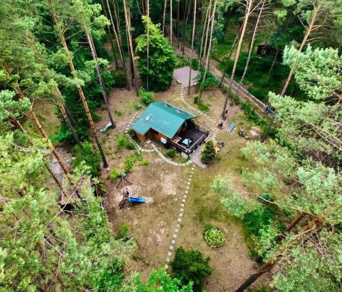an aerial view of a tent in the woods at Urocza chatka w lesie nad wodą in Skubianka