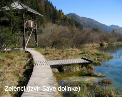 a wooden boardwalk over a lake in a valley at Apartma Bogi Kranjska Gora in Kranjska Gora
