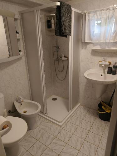 a bathroom with a shower and a toilet and a sink at Kranio in Karlovy Vary