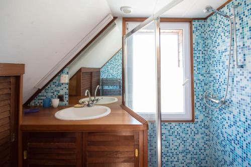 une salle de bain avec un lavabo et une douche avec une fenêtre dans l'établissement Le Clos Saint Jacques, à Plurien