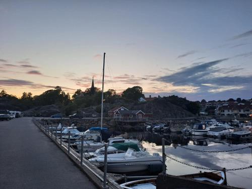 a group of boats docked in a marina at sunset at George&K Apartament in Larvik