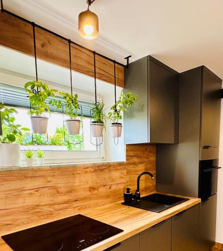 Η κουζίνα ή μικρή κουζίνα στο Apartament Sweet Garden