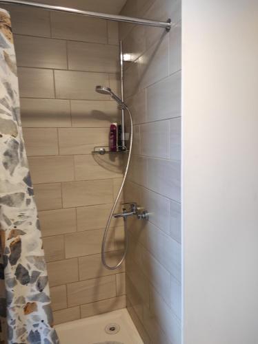 a shower with a shower head in a bathroom at Vilnīši in Ulmale