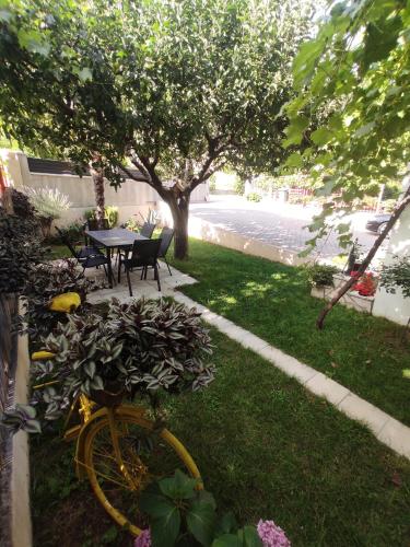Κήπος έξω από το Apartments Ratkovic